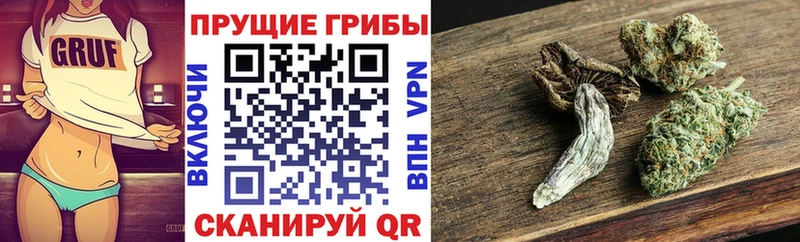 Галлюциногенные грибы Cubensis Покровск